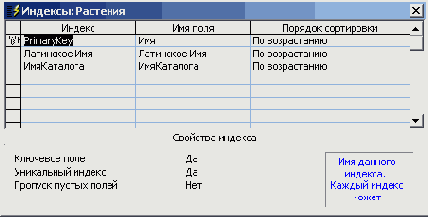 Окно для просмотра индексов таблицы