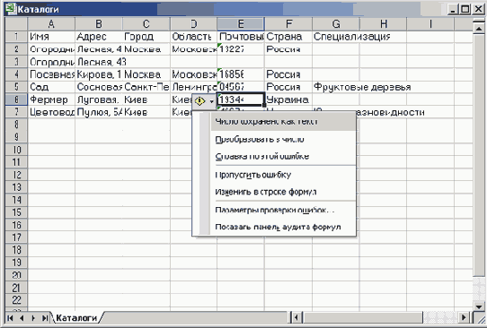  Excel      Access