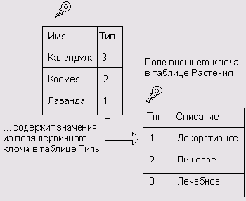 Первичные и внешние ключи