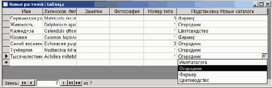 Анализатор добавил второе подстановочное поле в таблицу НовыеРастения