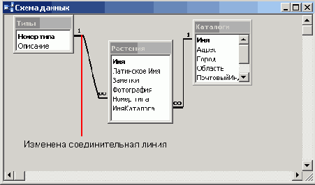 Обновленная соединительная линия между таблицами Растения и Типы