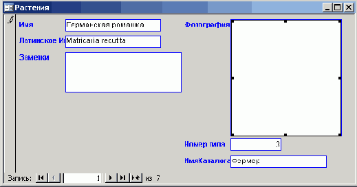 Элементы управления формой расположены вертикально